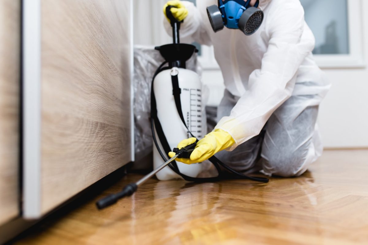 Easy Pest Control Services – Say Goodbye To Pests Today!